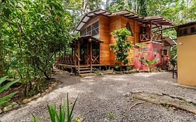 Pachamama Nueva River side Bungalows Punta Uva